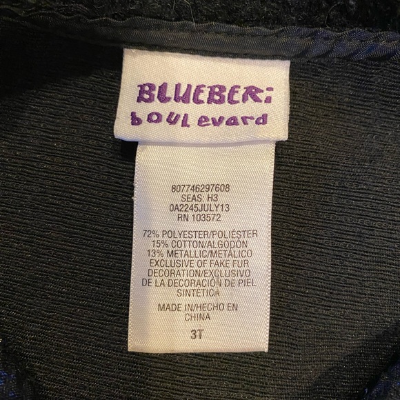 Blueberi Boulevard Dress Fancy Coat, size 3T - Picture 5 of 12